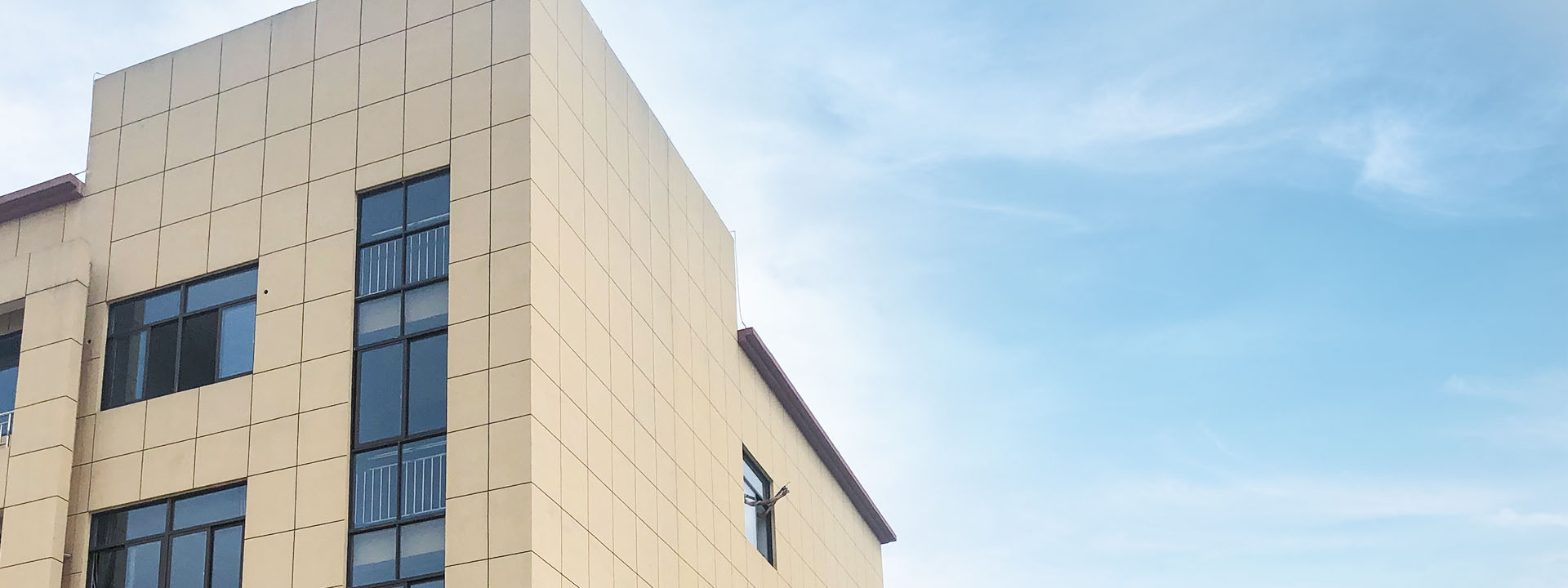 free wheel hub supplier